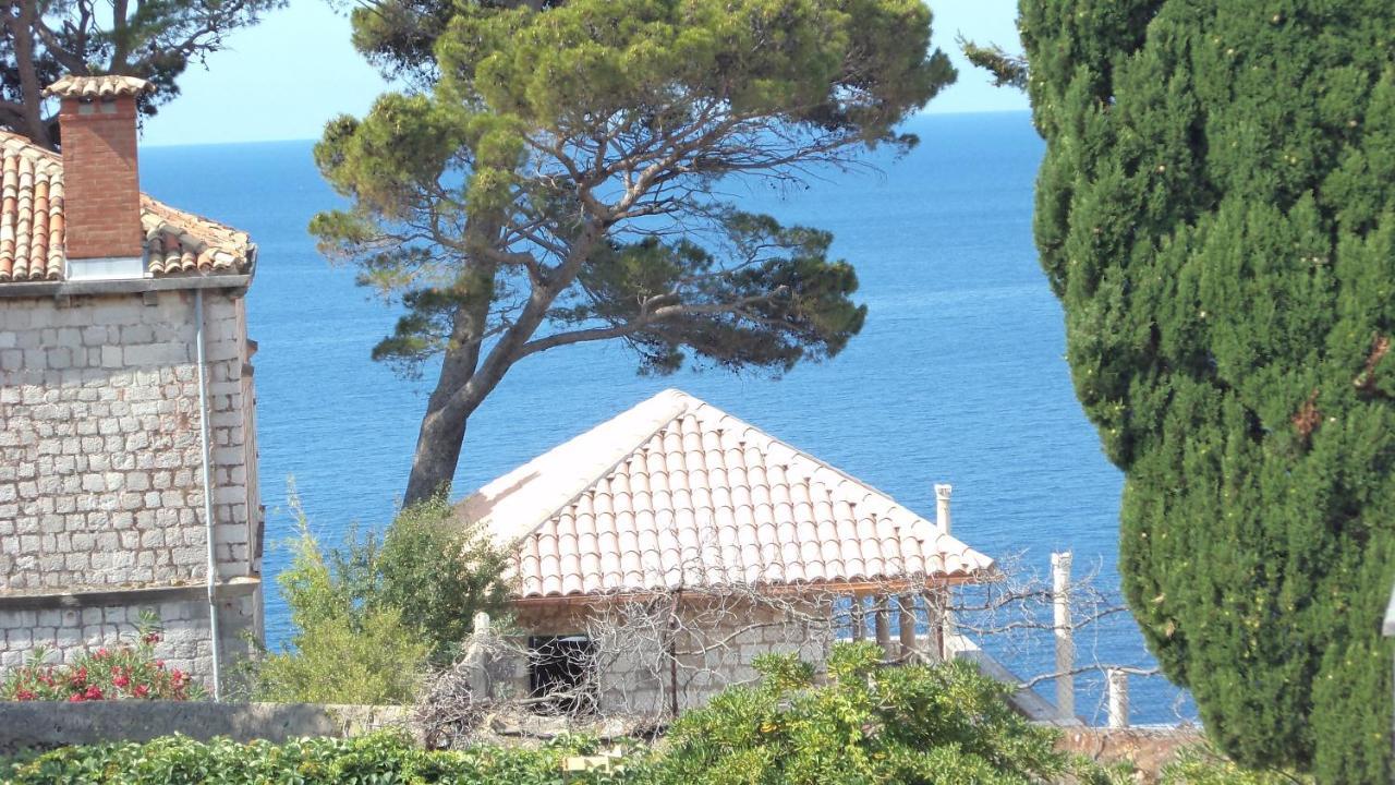 Villa Elly Dubrovnik Dış mekan fotoğraf